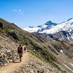 Mt. Ranier National Park (Sunrise Side)