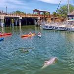 Kayaking Tour