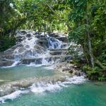 The World Famous Dunn's River Falls & Park