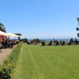 Durant Vineyards Tasting Room