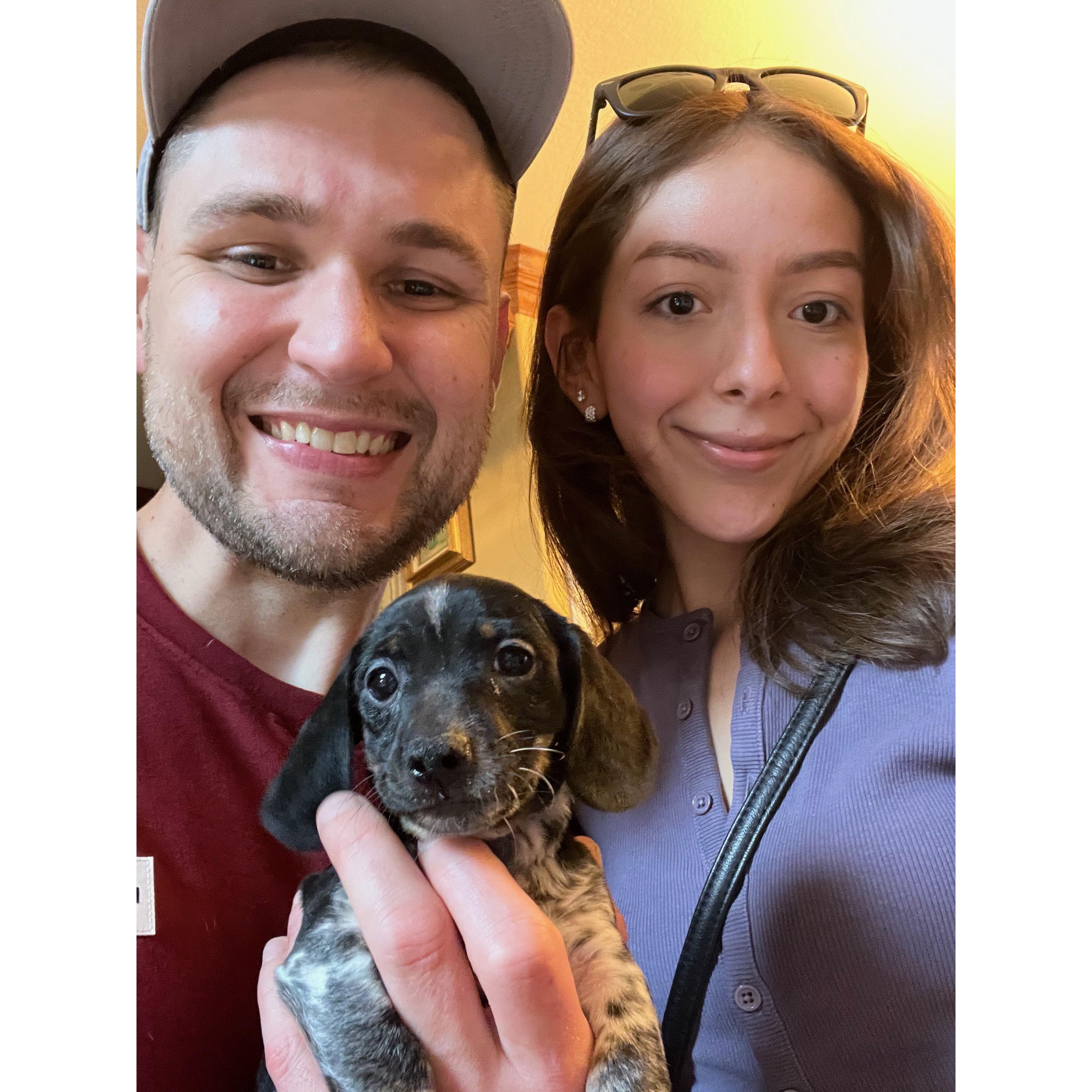 Adding to our little family