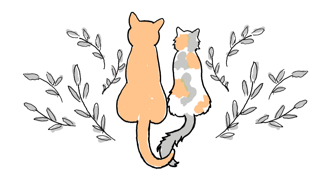 Footer image