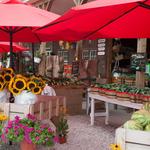 Check Out the Local Farmstands