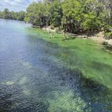 Blue Spring State Park