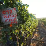 Wineries