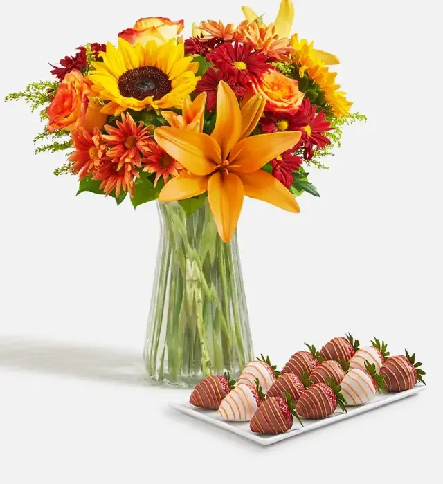 Fields of Europe® for Fall with Gourmet Autumn Dipped Strawberries