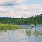 South Bog Conservation Area Trail