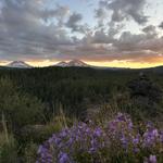 Peterson Ridge Overlook