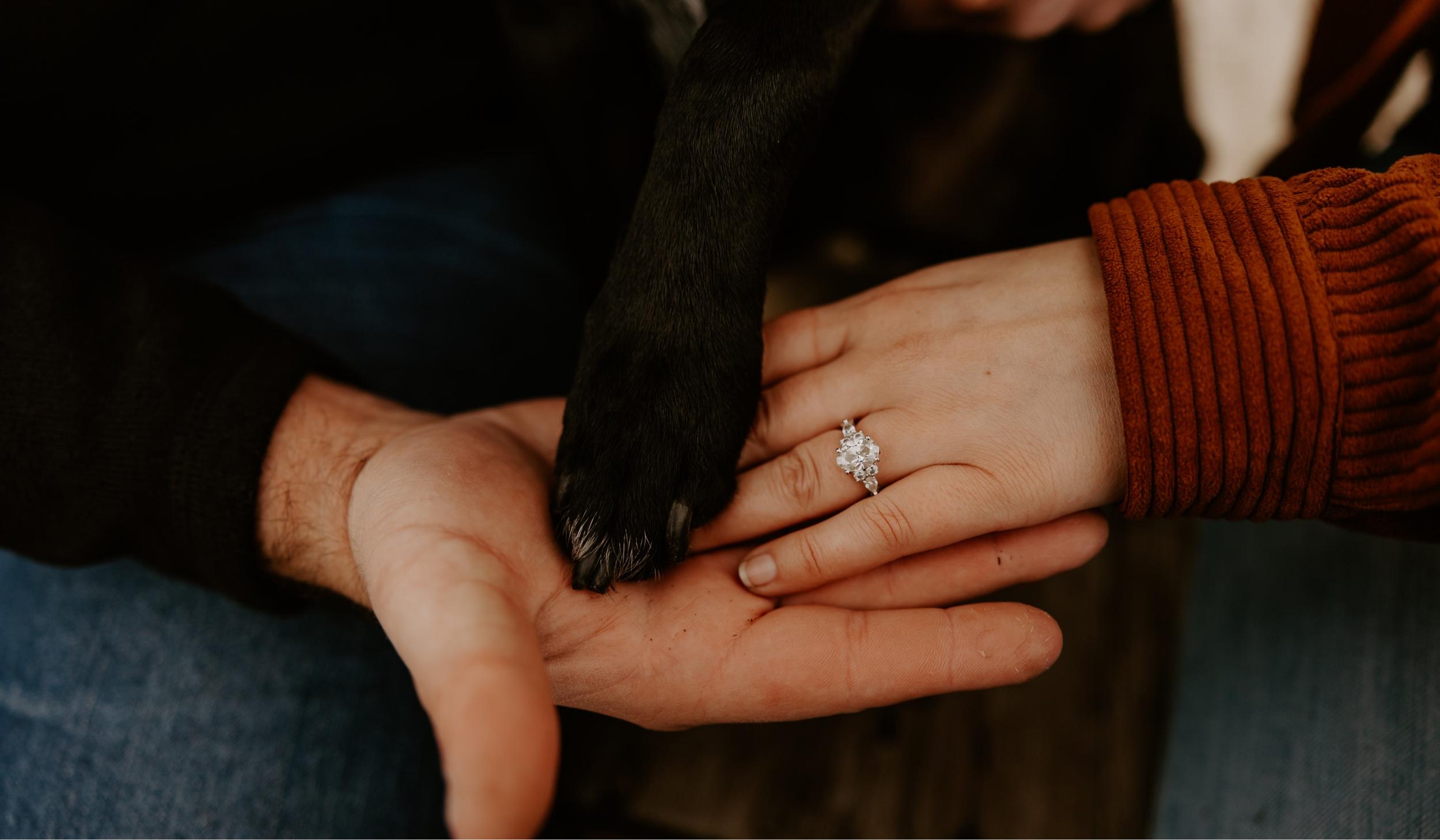 The Wedding Website of Mckenna Garske and Nick Streubel