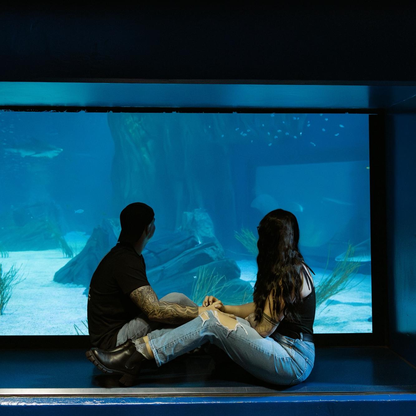 fun fact: we love aquariums and plan to visit as many as we can🐟