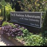 JC Raulston Arboretum