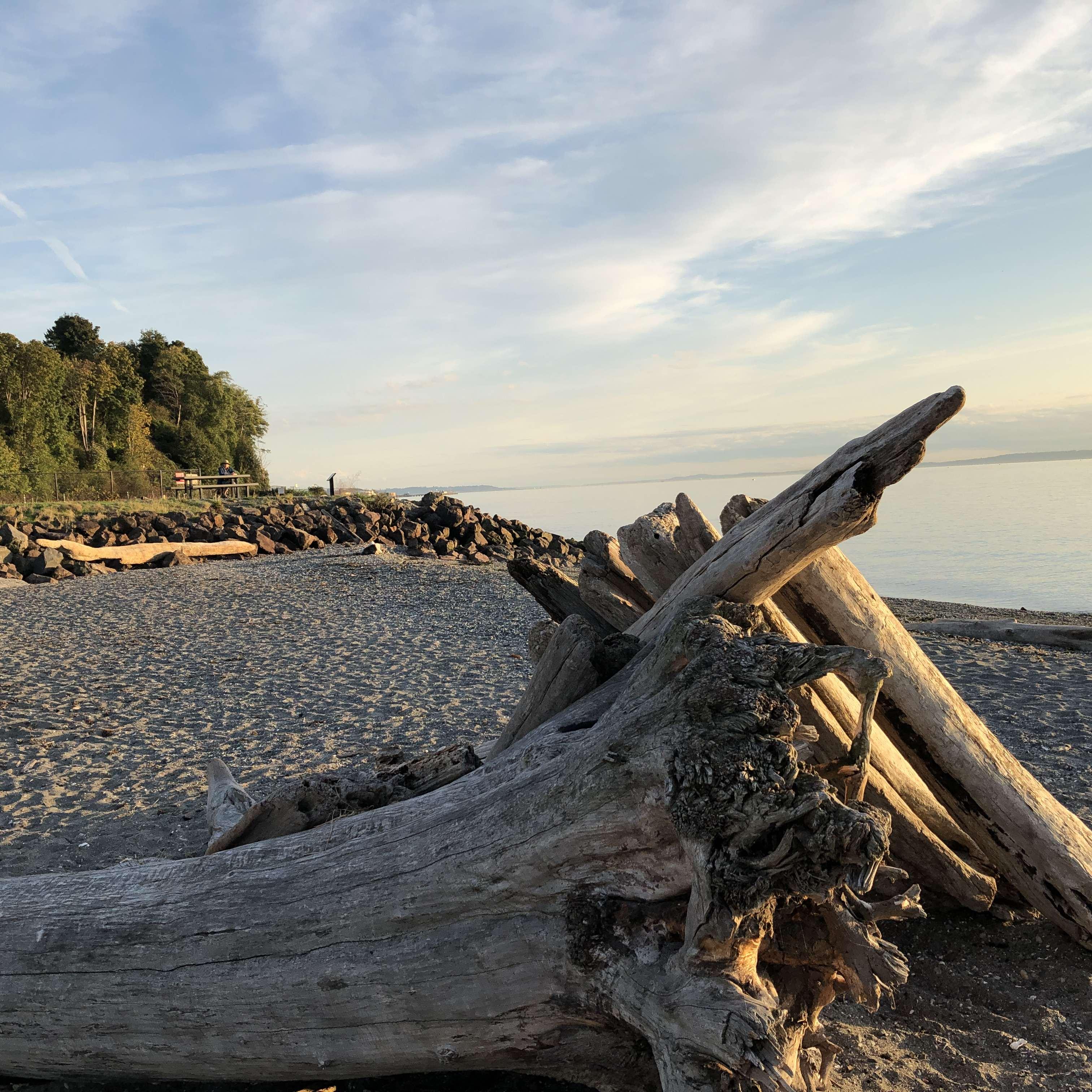 First date in Edmonds, WA
