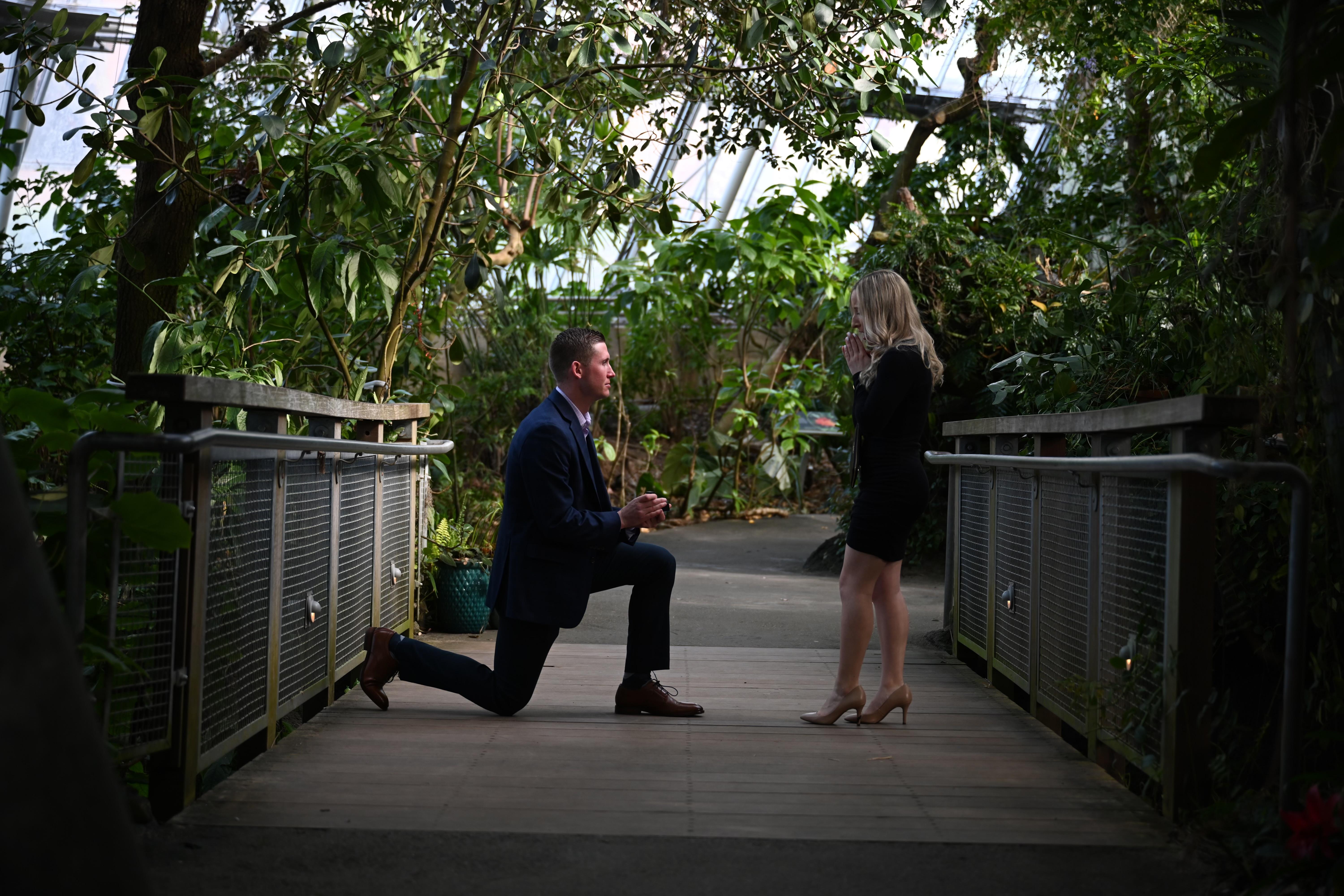 The Wedding Website of Kyle McDonough and Alexis Misconish