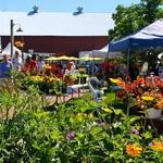 Burlington Farmers Market