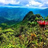 El Yunque National Forest
