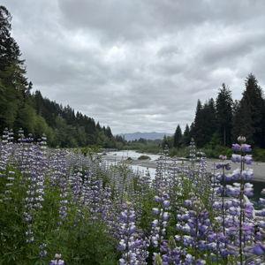 National Park Pass