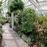 Key West Butterfly and Nature Conservatory