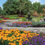 Minnesota Landscape Arboretum