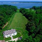 Harmony Vineyards