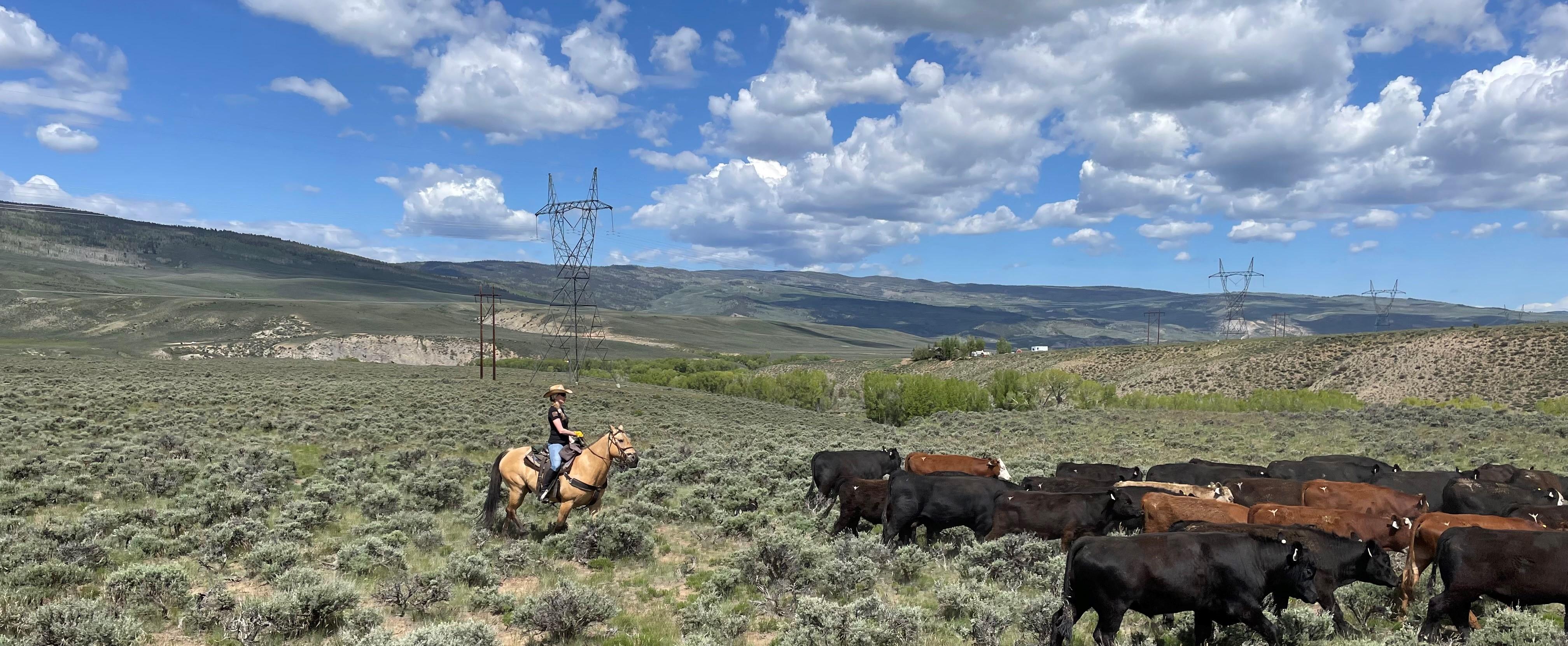 The Wedding Website of Jennifer Keel and Terry Marshall