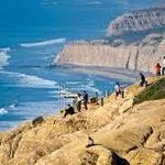 Torrey Pines State Natural Reserve