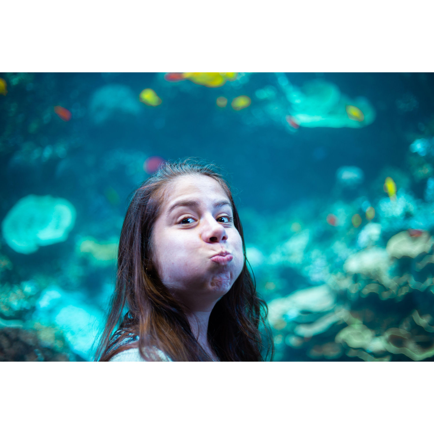 Georgias Aquarium 2019
