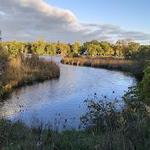 Mauthe Lake Beach