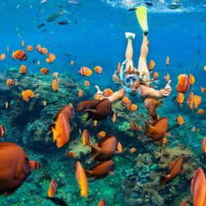 Snorkeling Tour