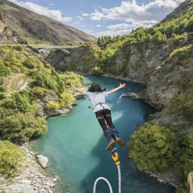 New Zealand Activities! (Venmo)