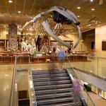 Milwaukee Public Museum