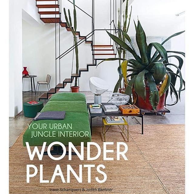 Wonder Plants: Your Urban Jungle Interior