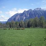 Mt Si