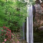 Toccoa Falls