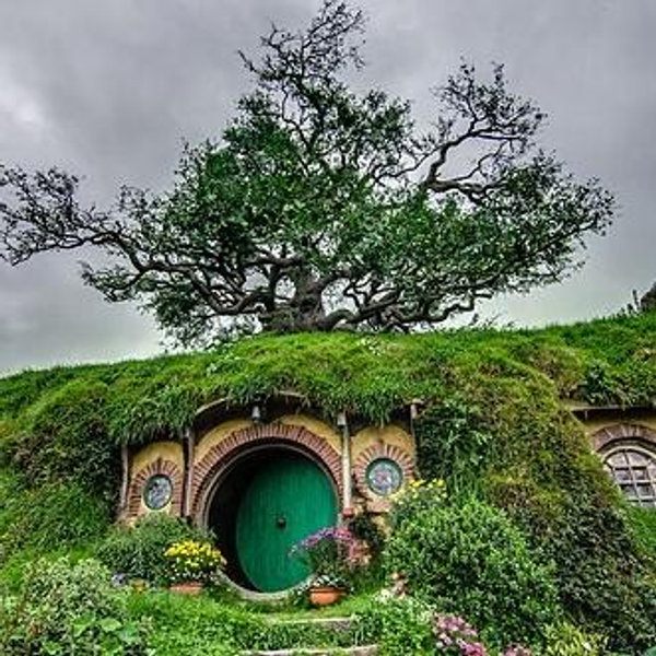 Explore Hobbiton