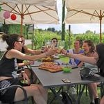 Wine and Food Tasting in the Vineyards in Lazise