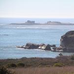 Año Nuevo State Park