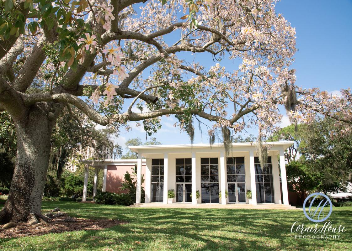 The Wedding Website of Naomi Mack and CJ Tyler
