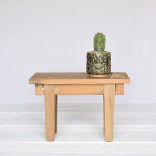 Cactus Small Motif Cachepot, Set of 2