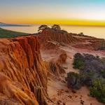 Torrey Pines Trail
