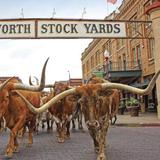 Fort Worth Stockyards