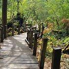 Wildwood Park