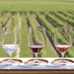 Niagara-On-The-Lake Winery Tours