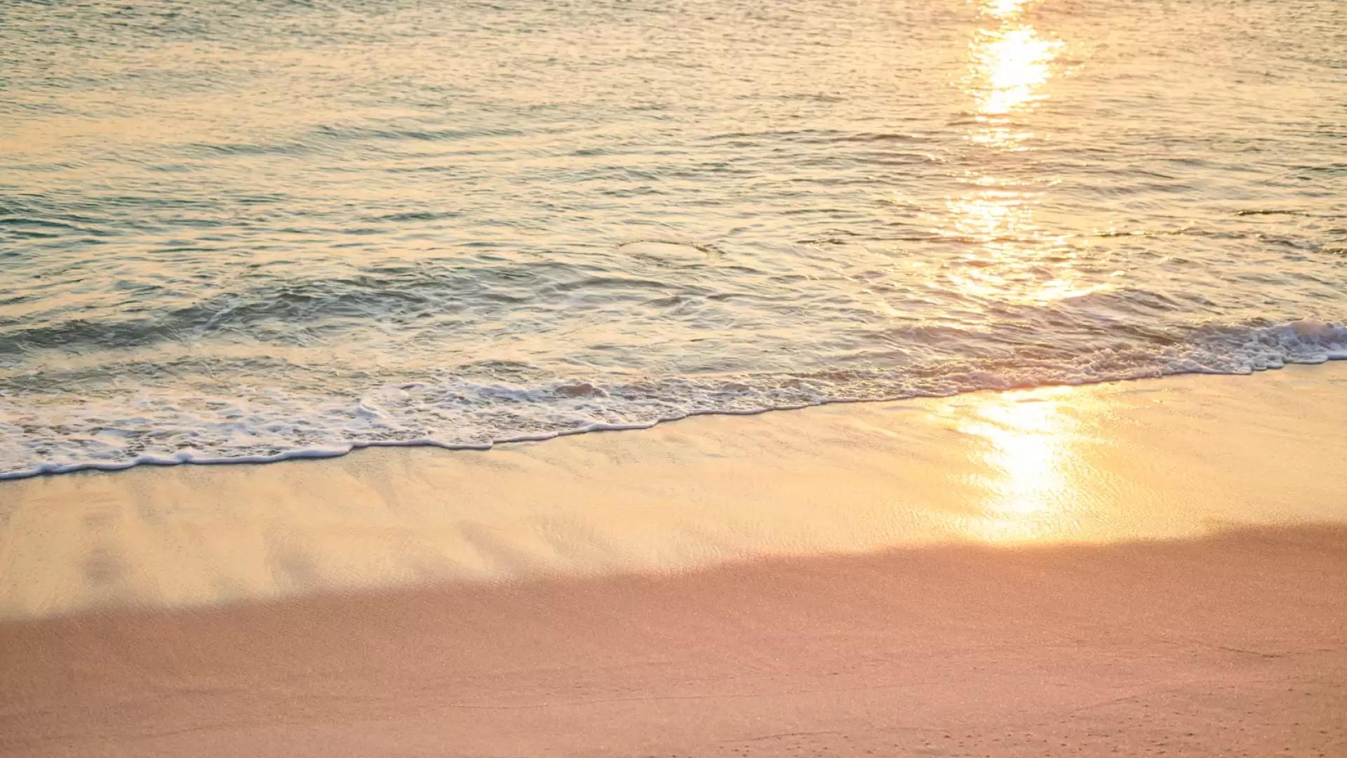 The Wedding Website of Jamie Peretz and Scott Schonfeld