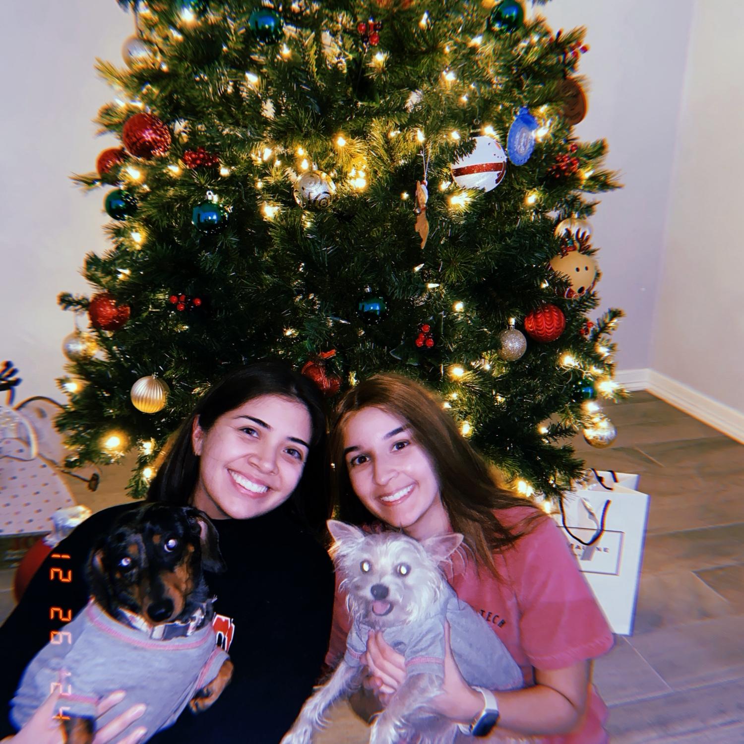 Our beautiful little family