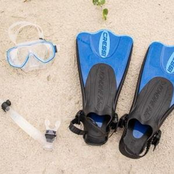 Snorkeling Gear/Tour Guides!