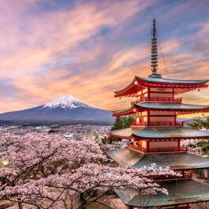 Japan Honeymoon Fund