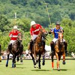 King Family Vineyards Polo Match
