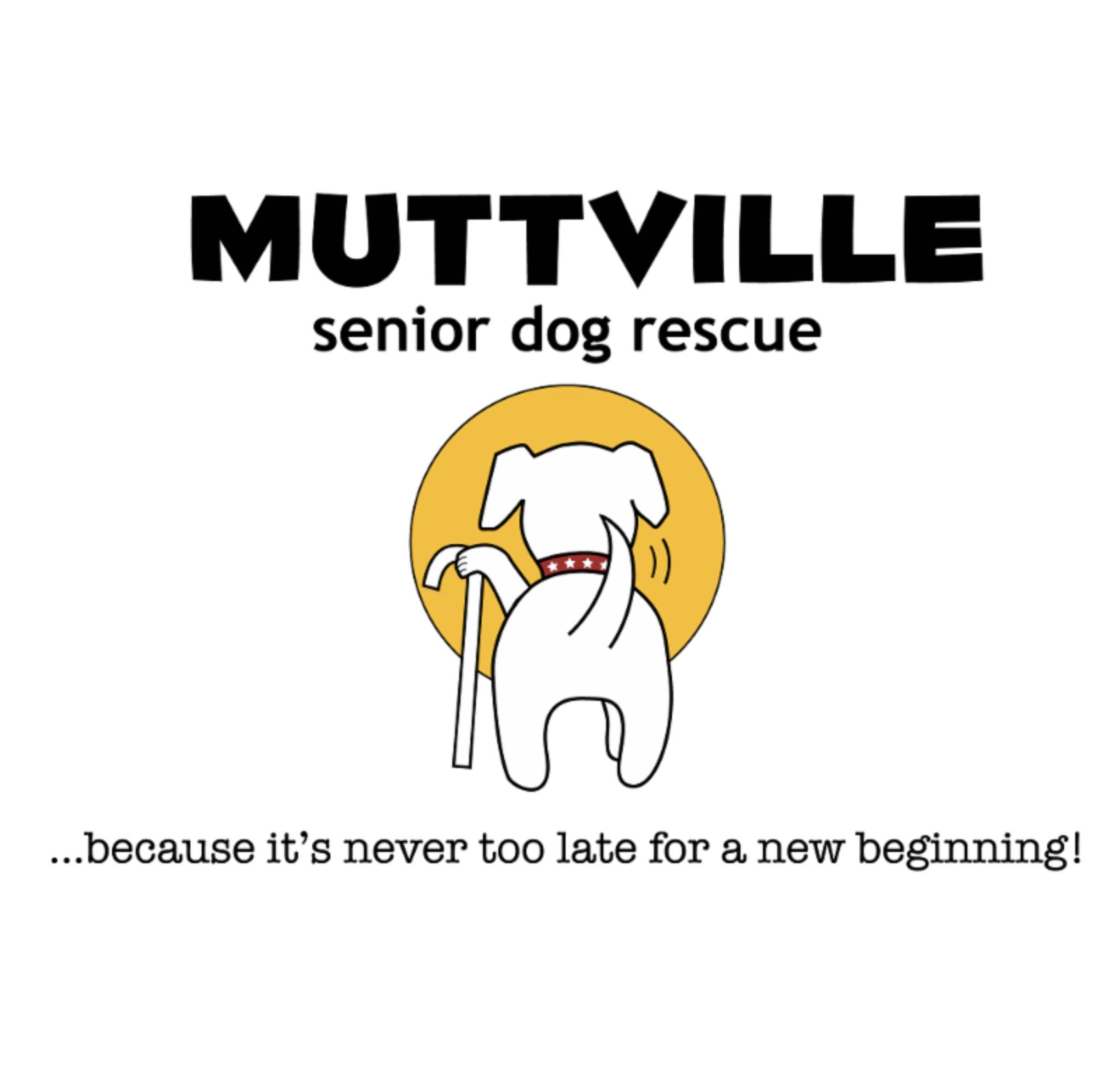Donation to Muttville Senior Dog Rescue