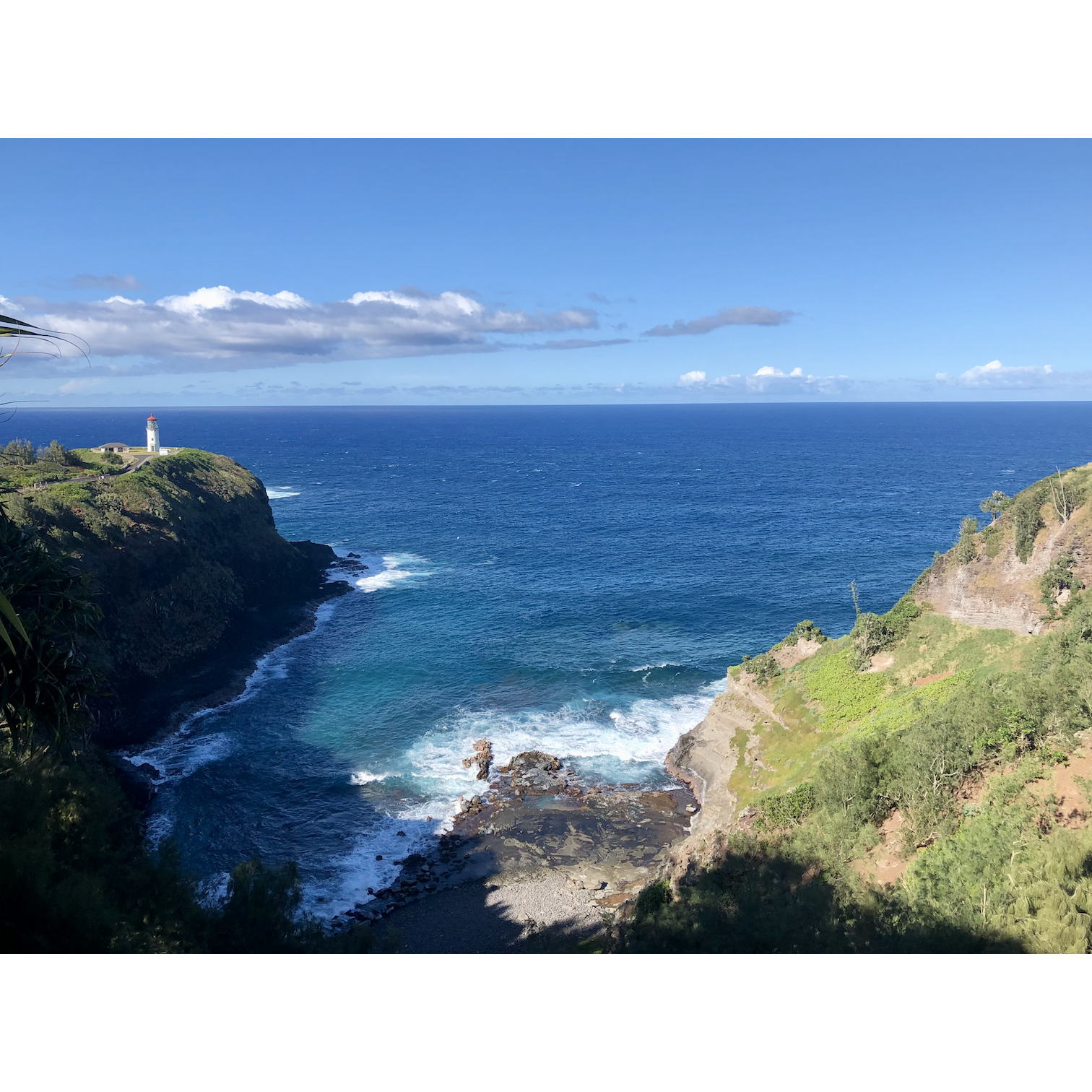 Kilauea Lighthouse in Kauai - we saw so many humpback whales here as well!