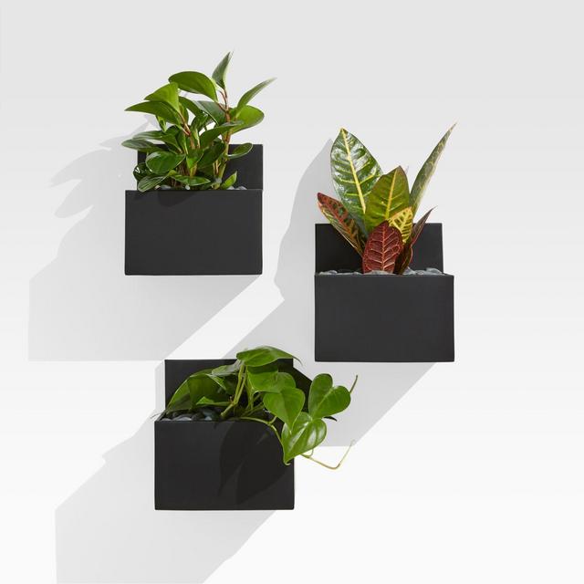 Pocket Black Wall Planters, Set of 3